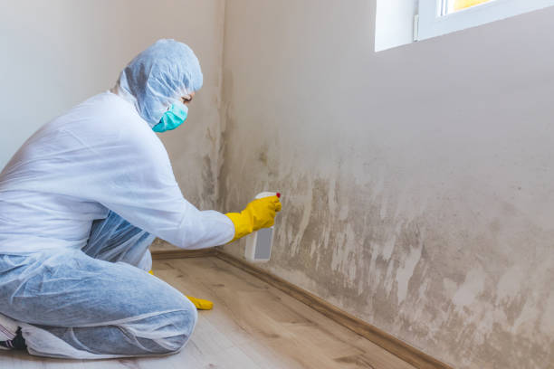 Licensed Crawl Space Mold Removal service in Louisville, IL - WQB Mold Removal
