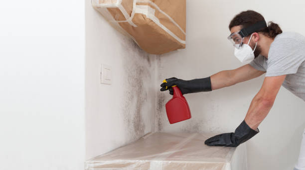 Professional Crawl Space Mold Removal technician working in Louisville, IL