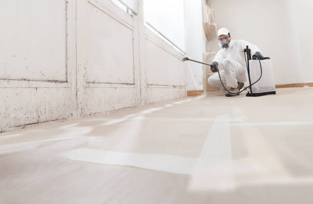 24/7 Emergency Crawl Space Mold Removal experts in Louisville, IL