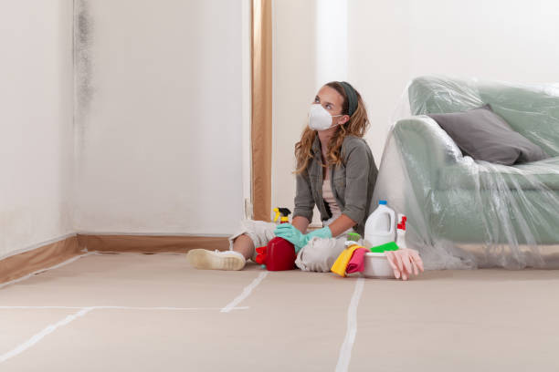 Reliable Crawl Space Mold Removal contractor in Louisville, IL by WQB Mold Removal